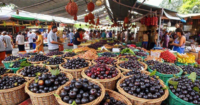 Como Escolher a Melhor Distribuidora de Açaí para Você