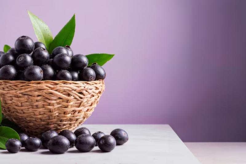 Açai para Exportação: Como Aproveitar o Potencial do Mercado Internacional Açai para Exportação: Como Aproveitar o Potencial do Mercado Internacional