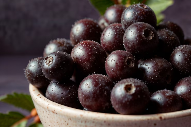 Como Maximizar a Exportação de Açaí e Impulsionar Seus Lucros Como Maximizar a Exportação de Açaí e Impulsionar Seus Lucros