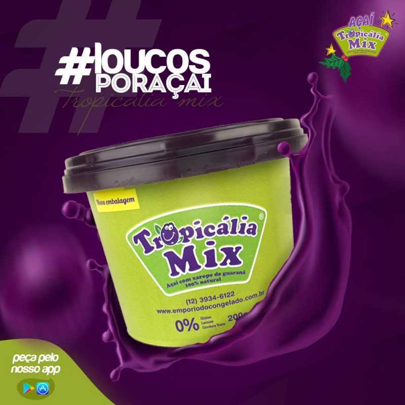 Açaí de Pote Revenda Cidade Patriarca - Açaí Revenda