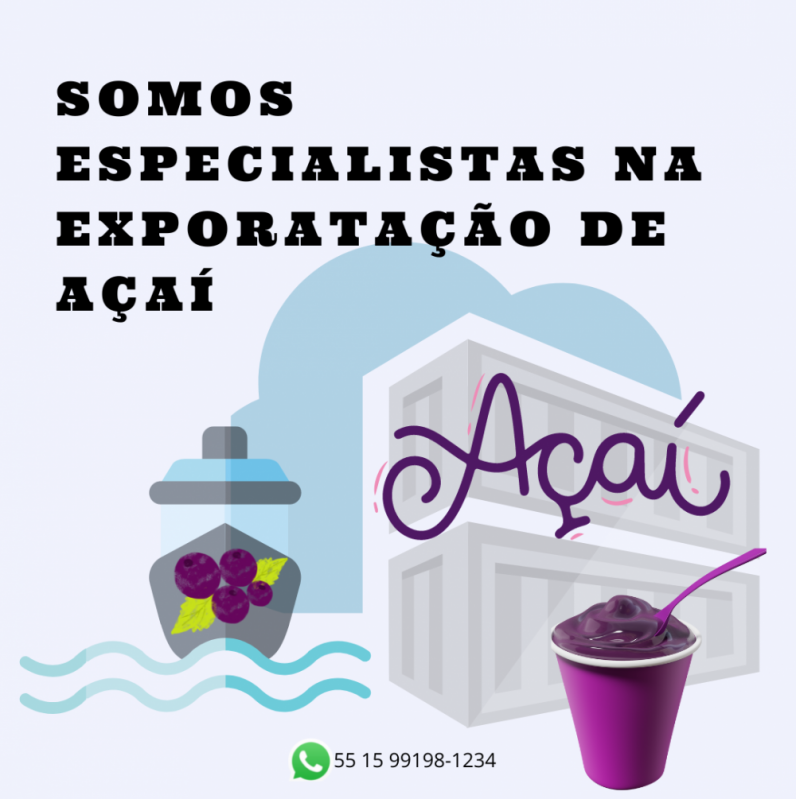 Exportação de Açaí para Marcas São Carlos - Exportação Açaí