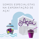 exportação de açaí cremoso Alto da Lapa exportação de açaí cremoso Alto da Lapa