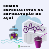 exportação de açaí para marcas Vila Albertina exportação de açaí para marcas Vila Albertina