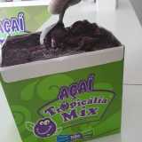 fabricação de açaí de marca própria Aricanduva fabricação de açaí de marca própria Aricanduva