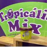 Fabricação Açaí de Marca Própria